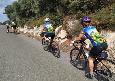 Road Cycling In Spain