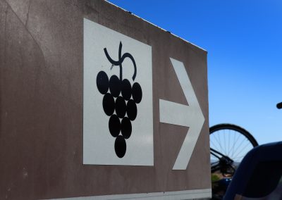 Visit a portuguese winery on your bike tour