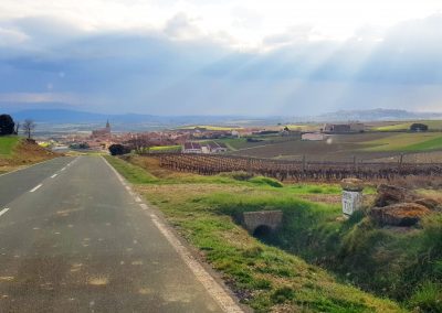 Landscape of La Rioja, Spain