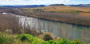 The Ebro, River of La Rioja