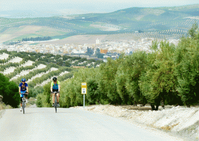 Enchanted Andalucia, Cycling Cordoba