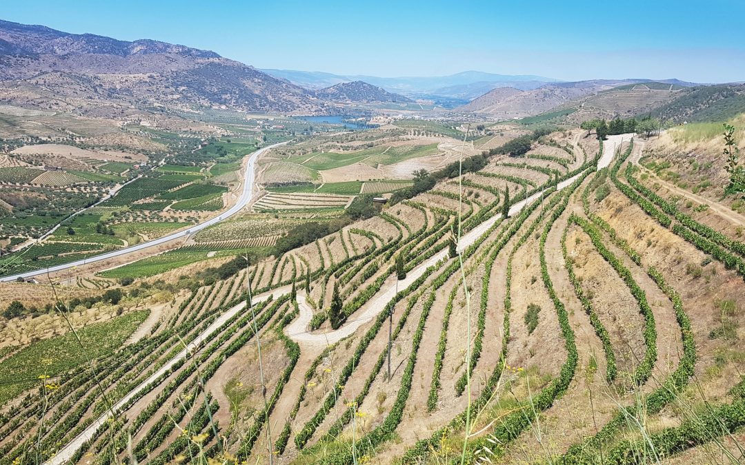 Douro Valley      €1,275            Portugal      7 DAYS