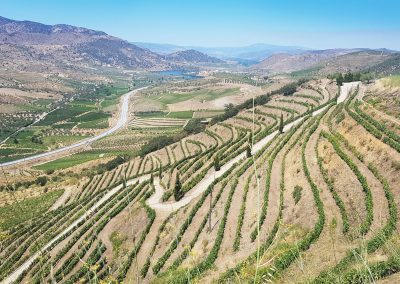 Douro Valley      €1,375            Portugal      7 DAYS    NEW