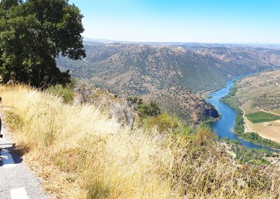 Views of the Douro