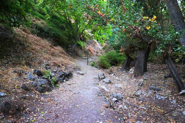 Alhama de Granada's great hiking