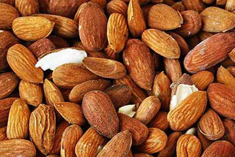 The Powerful benefits in Almonds